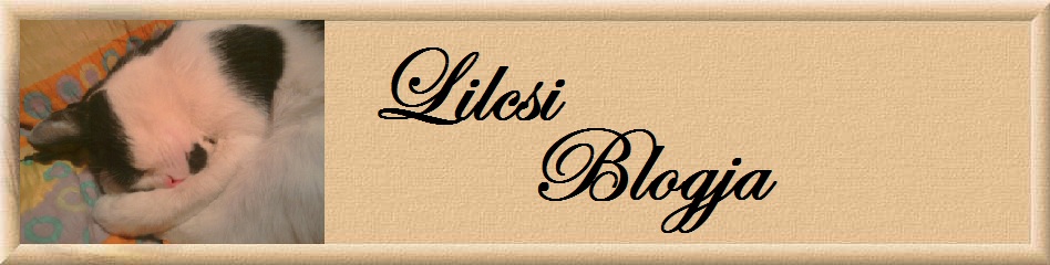 LILCSI BLOGJA!:)